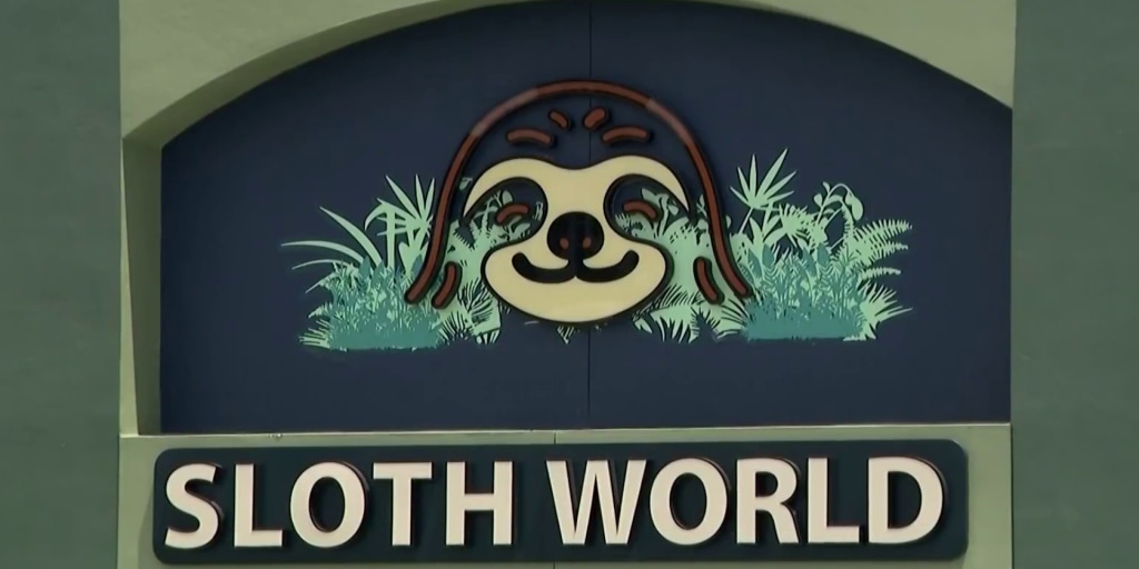 Calls grow to shut down planned Sloth World attraction after 31 sloth deaths