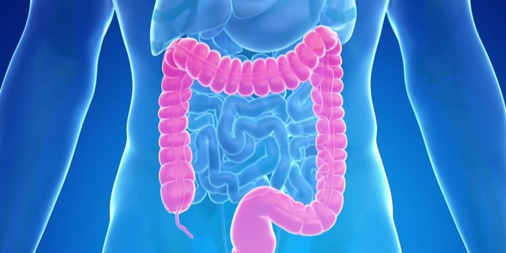 bpc 157 colon cancer BPC-157 Rapid 60c by InfiniWell New blood test is added