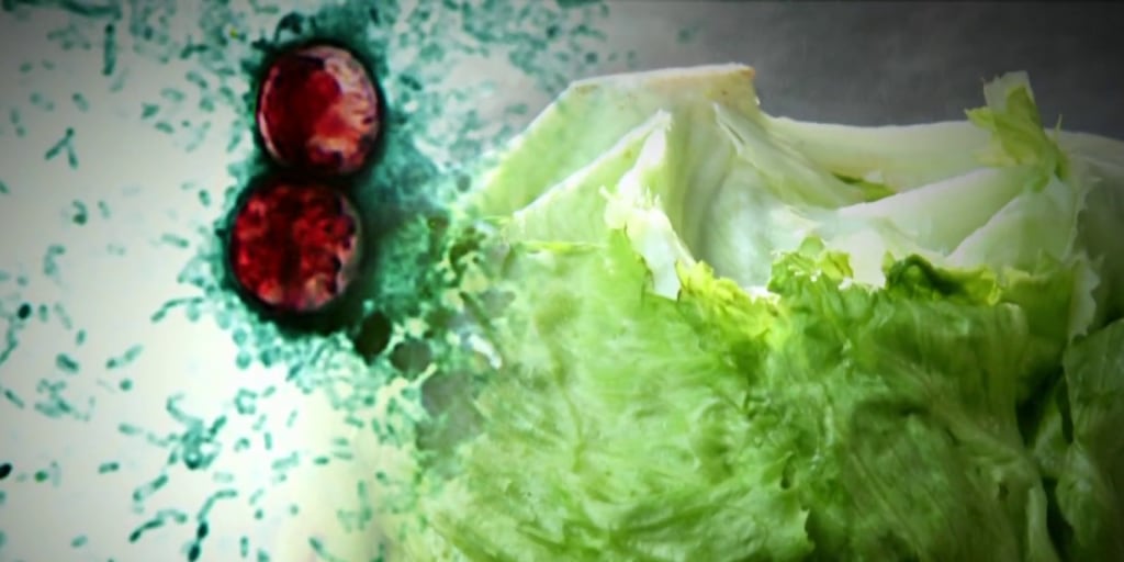 Cyclospora outbreak from tainted lettuce served at Taco Bell expands
