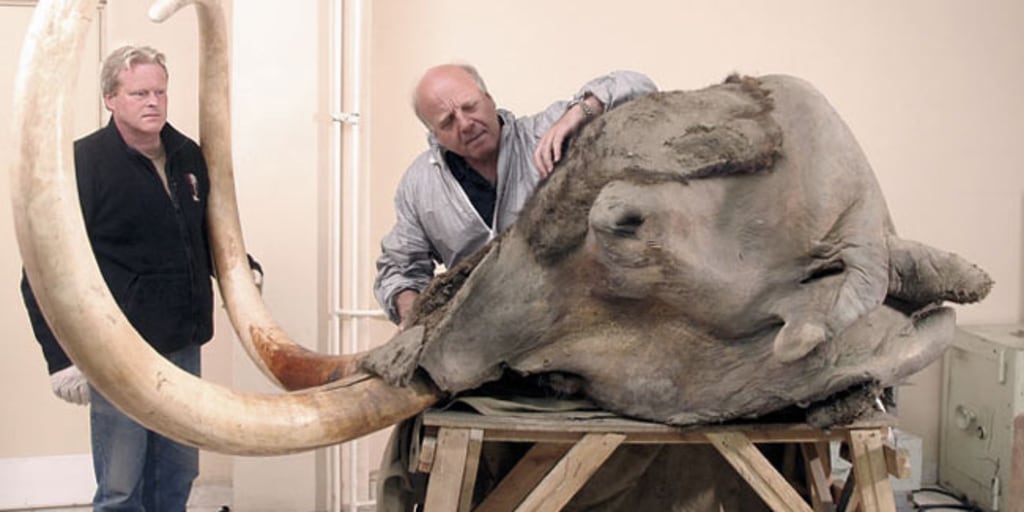 The last mammoths in Siberia were American