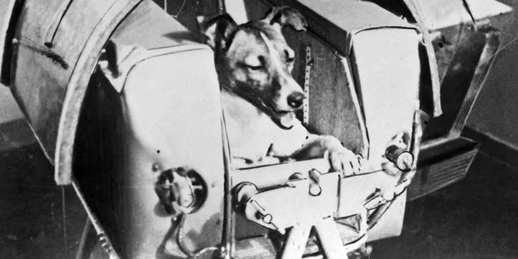 How a dog blazed the trail for life in space