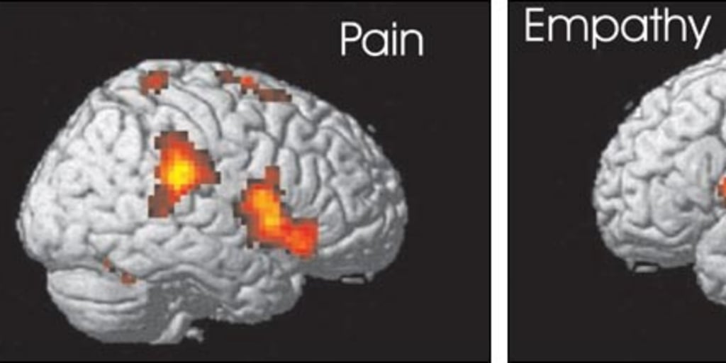 How your brain handles love and pain
