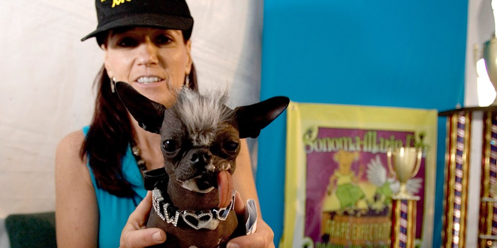 Elwood ugliest dog new arrivals