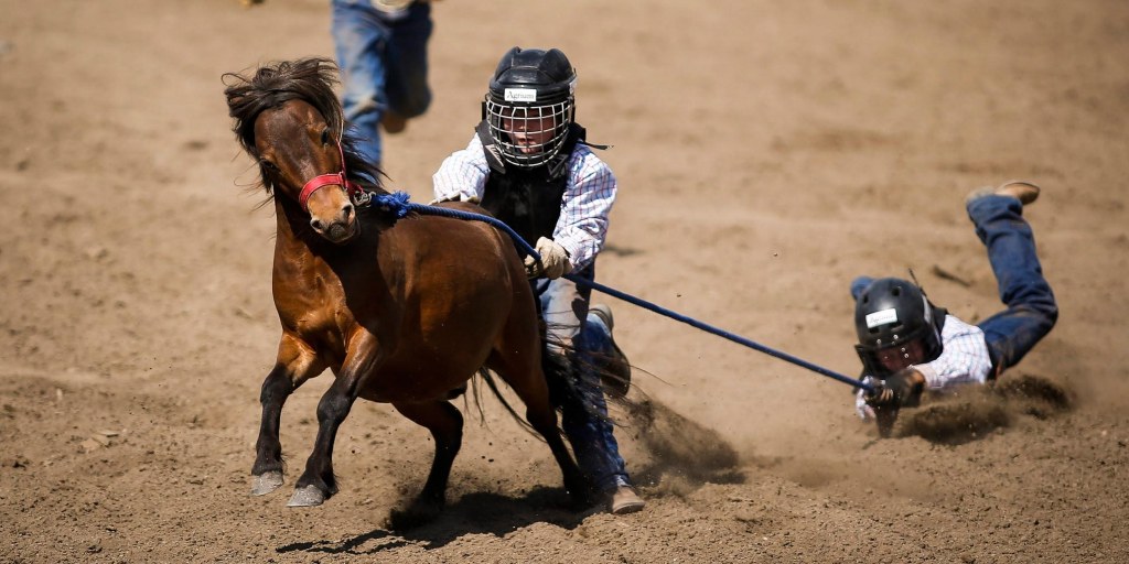 Calgary Stampede