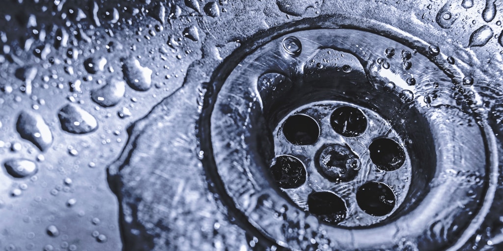 Our shower drains are a breeding ground for drug-resistant bacteria