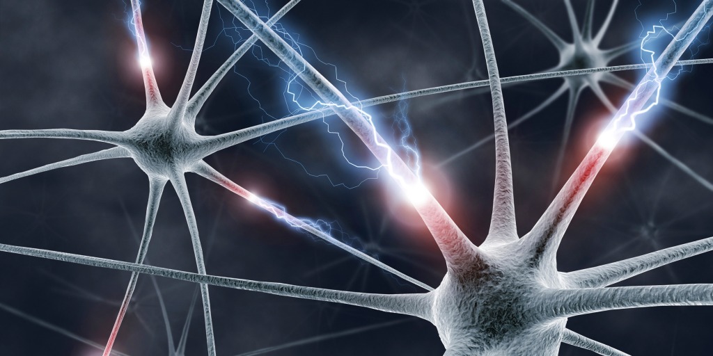180105-brain-neurons-mn-1400.jpg