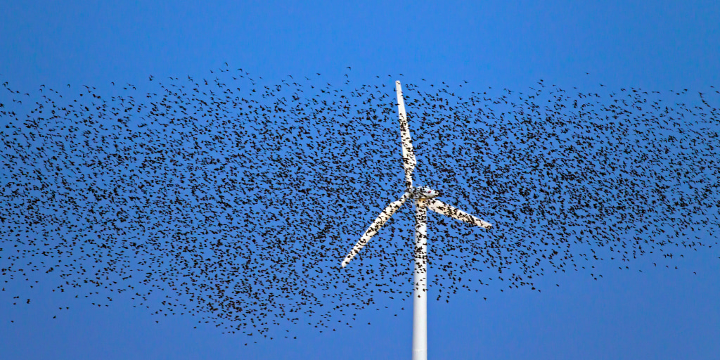 Column: Yes, wind turbines kill birds. But fracking is worse