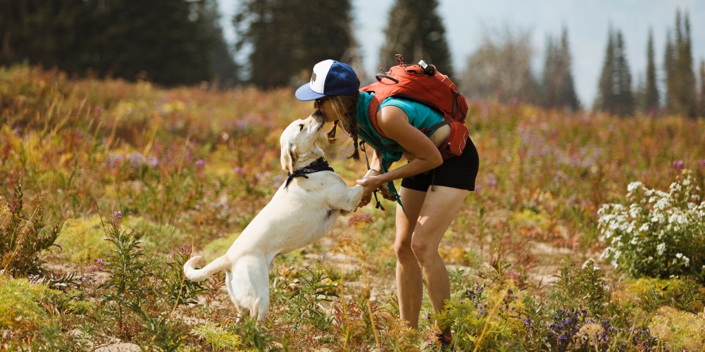 Trail dogs shop