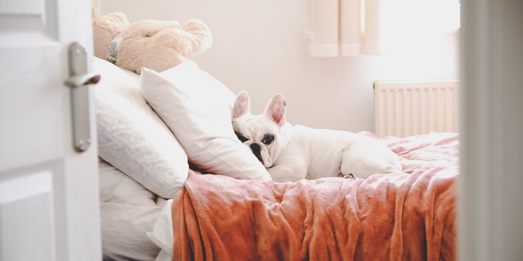 best down pillows consumer reports