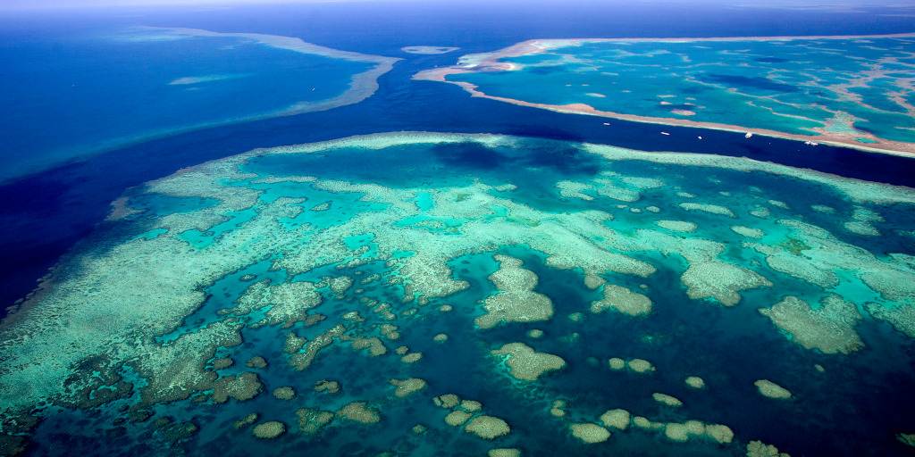 taller than the Empire State Building discovered Australia's Great Barrier Reef