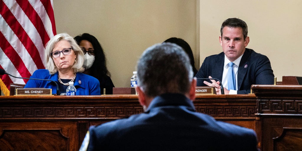 210729-liz-cheney-adam-kinzinger-jm-1620