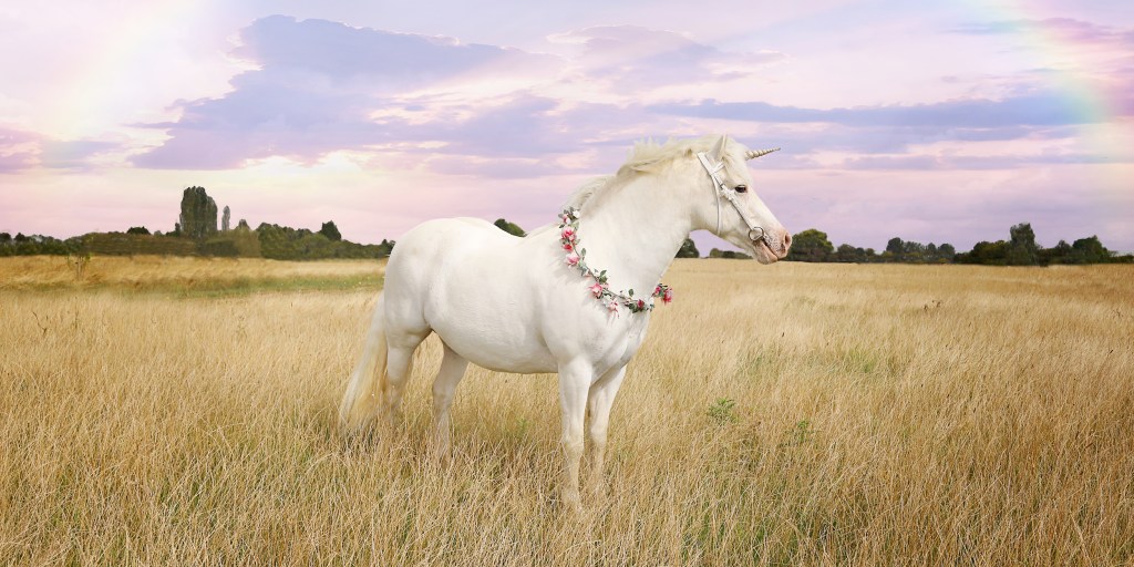 Why we should ditch the PTA and find our 'Unicorn Space' instead - Vimarsana News