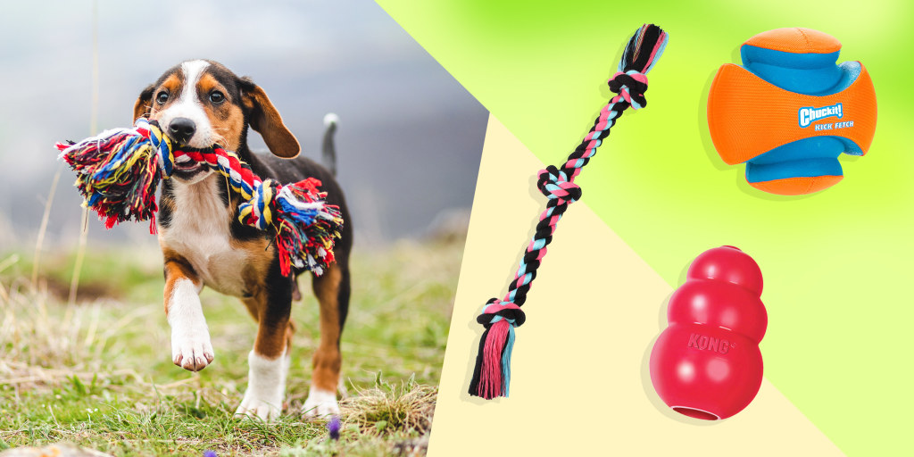 20 best dog toys in 2023, according to 