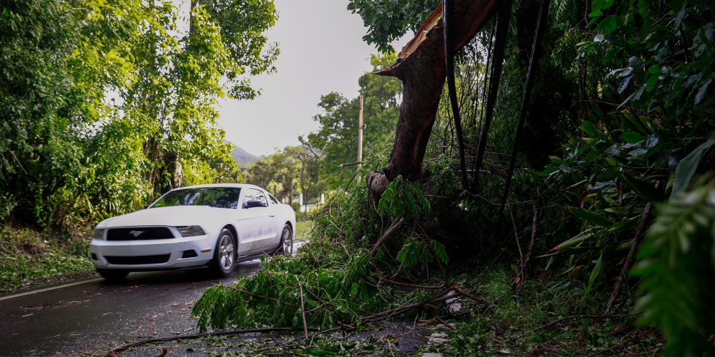Hurricane Fiona decimated Puerto Rico, while wealthy tax evaders fled - Vimarsana News