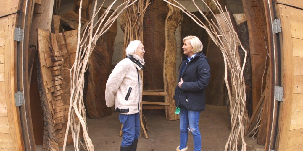 How Mika Brzezinski is honoring her mother — and her art - Vimarsana News