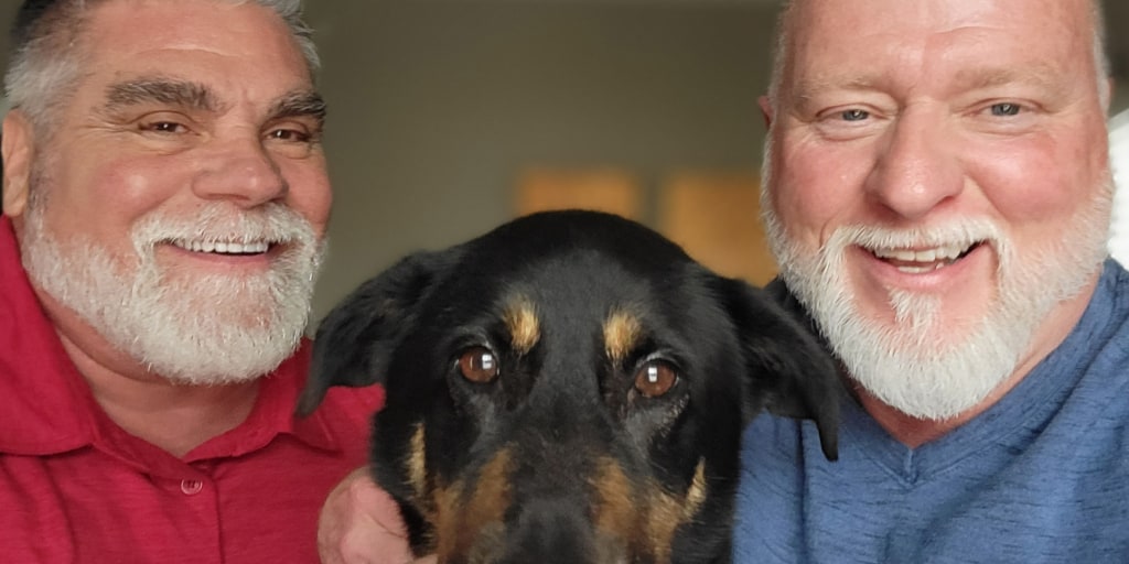 School Garl And Animals Sex Videos - Dog abandoned for being 'gay' is adopted by same-sex couple