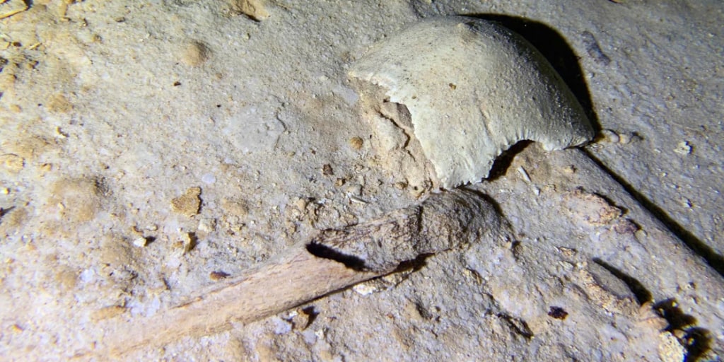 Descubren un esqueleto humano prehistórico en una cueva en la Riviera Maya inundada en la última edad de hielo - Vimarsana News