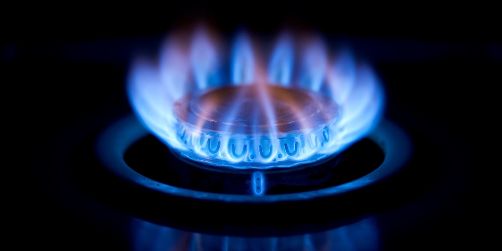 Gas stove tantrum reflects Republicans' post-policy cynicism - Vimarsana News