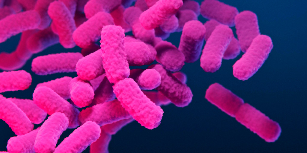 230228-shigella-resistance-se-317p-c4ee9