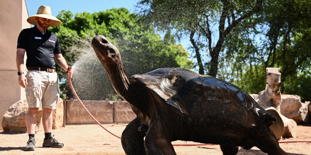 230720-phoenix-zoo-al-0829-