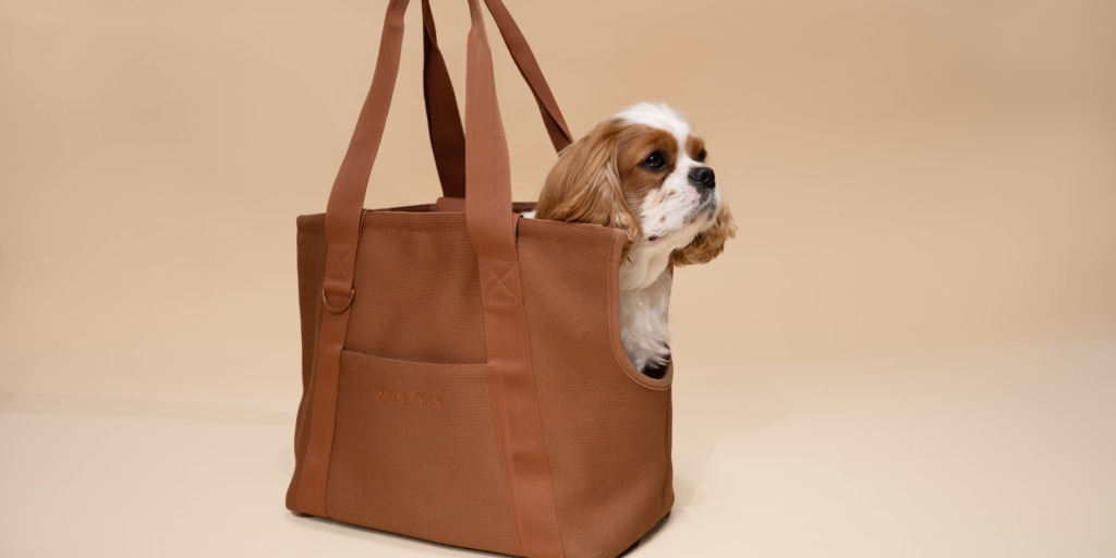 Dog Purses & Carrier Bags: Choosing the Right One | Hill's Pet