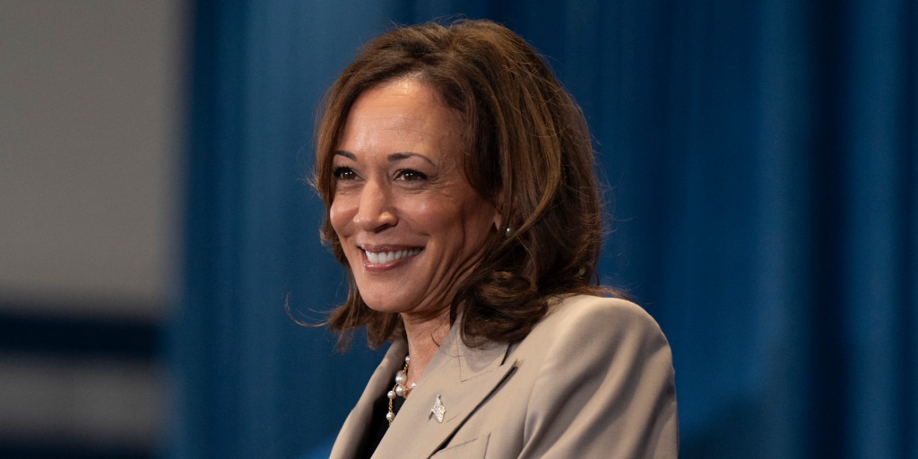 The Democrats who could be Kamala Harris' running mate — or challenge her for the nomination
