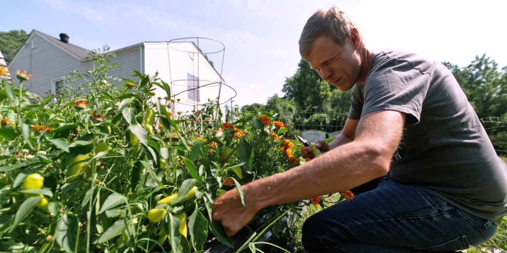 Evangelical environmentalists push for climate votes as election nears: 'Care for God's creation'