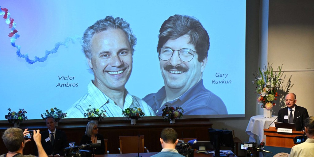 American duo win Nobel Prize for Medicine for pioneering gene discovery