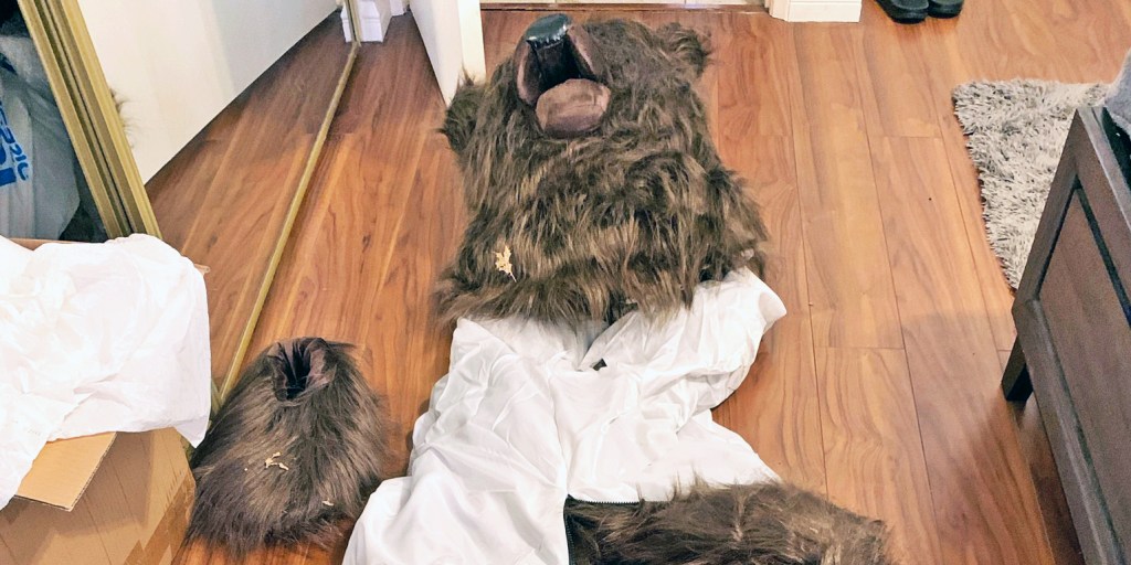 Person dressed in bear costume to fake attacks on cars for insurance payout, California officials say