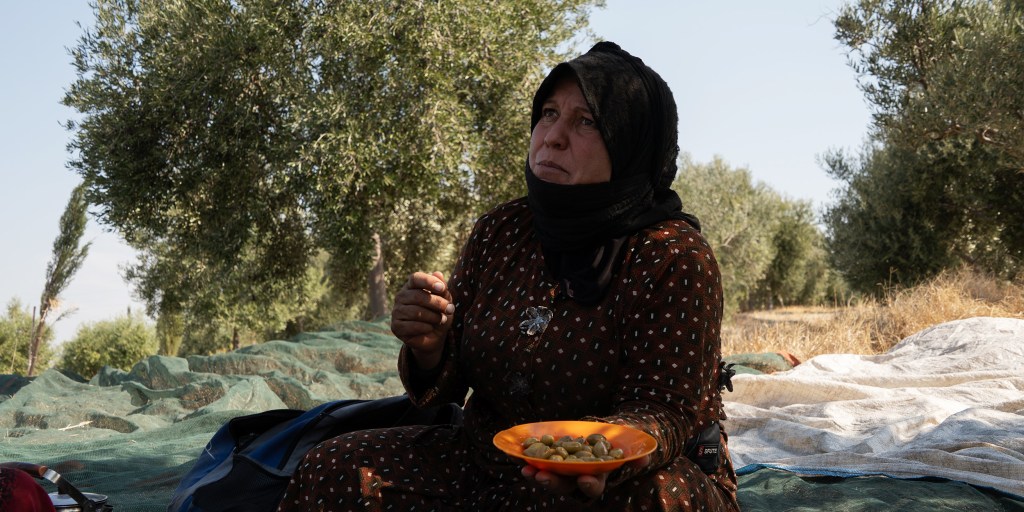 Bombs go off all around, but in Lebanon's ancient olive groves, work must go on