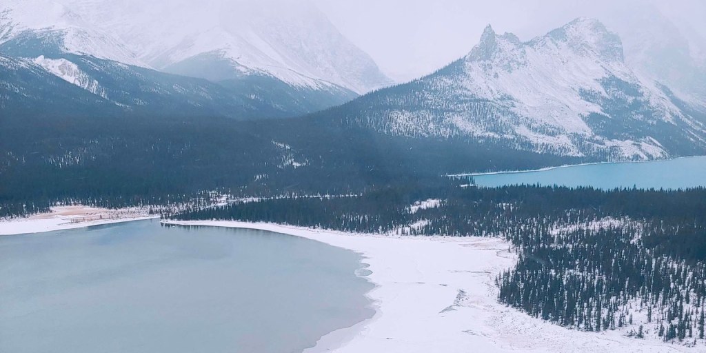 Missing camper found safe after more than 5 weeks in Canada's Northern Rockies