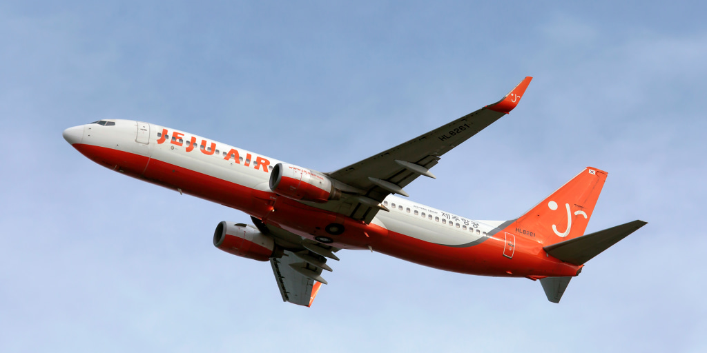 Jeju Air crash: Boeing 737-800 is popular plane