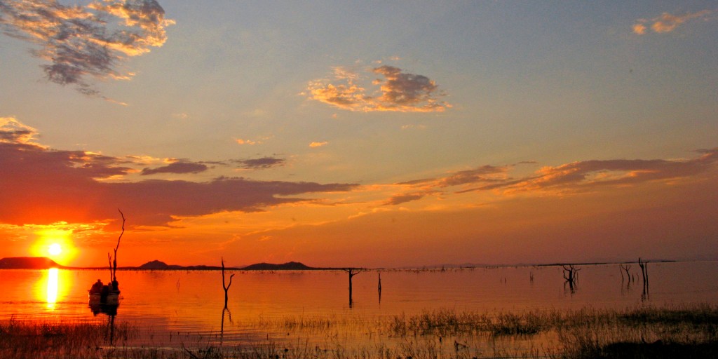 Young boy survives 5 days in 'lion infested' African game park after wandering from home