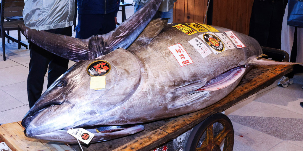 Sushi chain pays $1.3 million for motorcycle-sized tuna at Tokyo auction