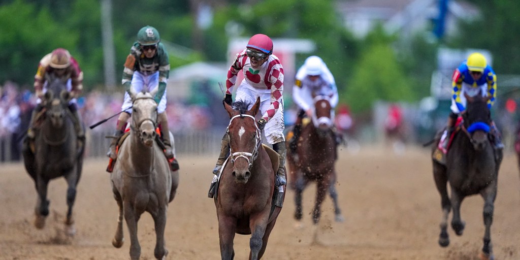 250517-journalism-horse-wm-