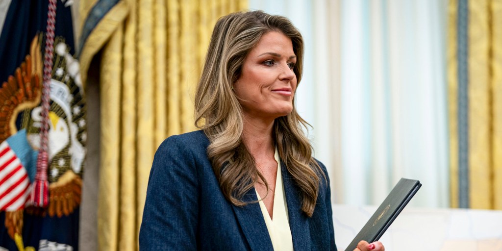 Pam Bondi’s Justice Department, seen here arguing that if you sign the wrong law on the form, it still counts as long as the target is on Trump’s enemies list.