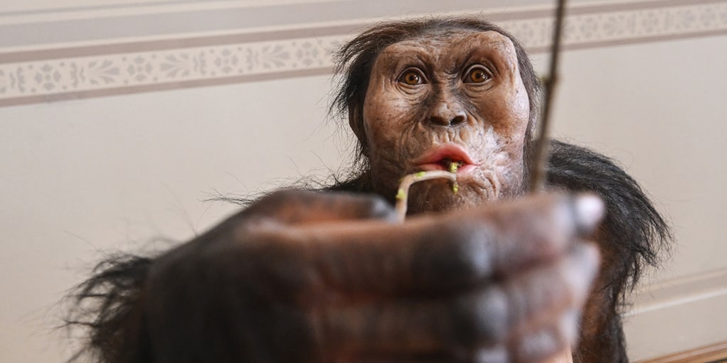 Fossilized Burtele Foot Suggests Second Human Ancestor