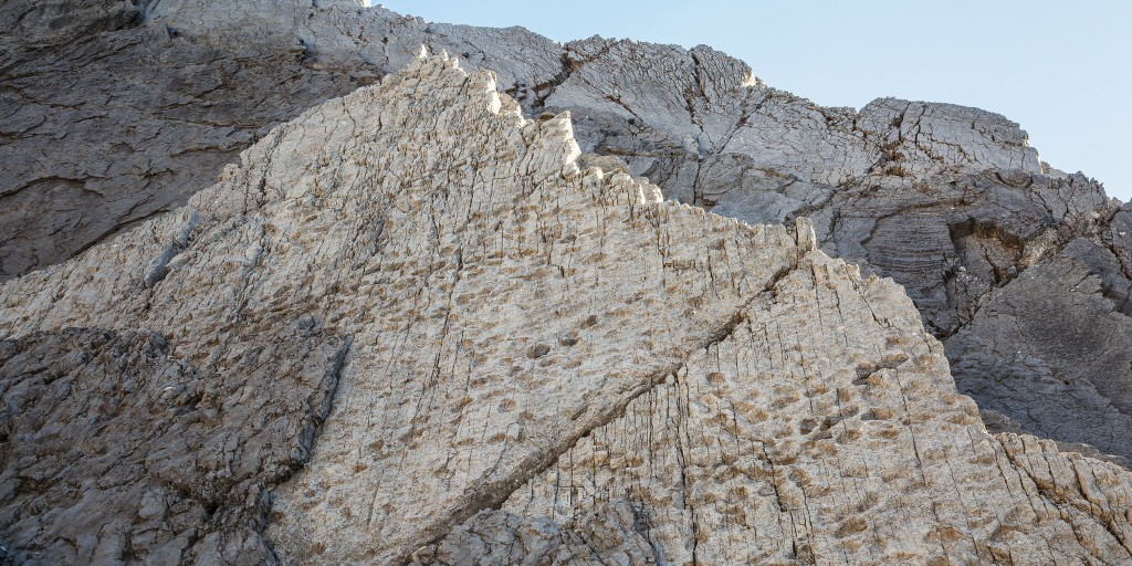 Thousands of dinosaur footprints found near Winter Olympics venue in Italy