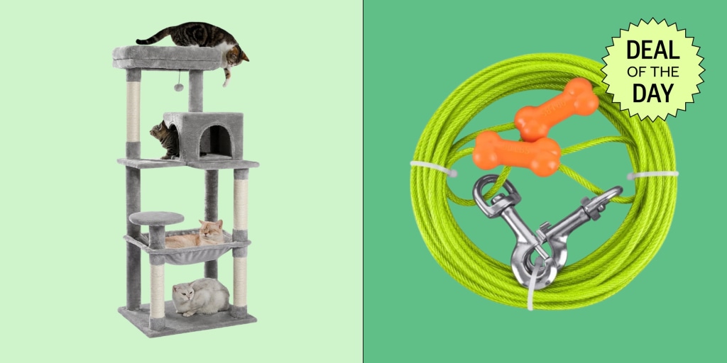 Walmart’s Pet Sale Has Up to 70% Off Food Bowls, Litter Boxes and More