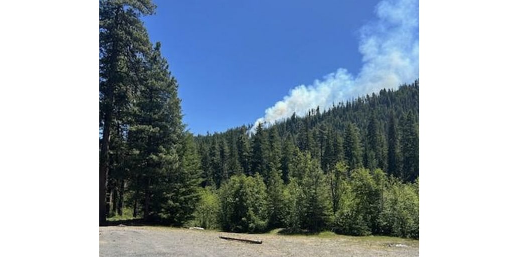 Pilot ejects before fighter jet crashes into mountain in Washington state woodlands