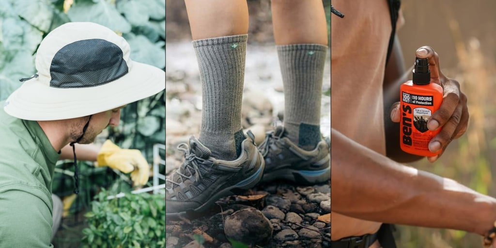 Summer is prime tick season — here’s how to protect yourself from getting bitten @​nbcselected <https://t.co/rUdRJXCUEa>
 [↧](https://t.co/rUdRJXCUEa)