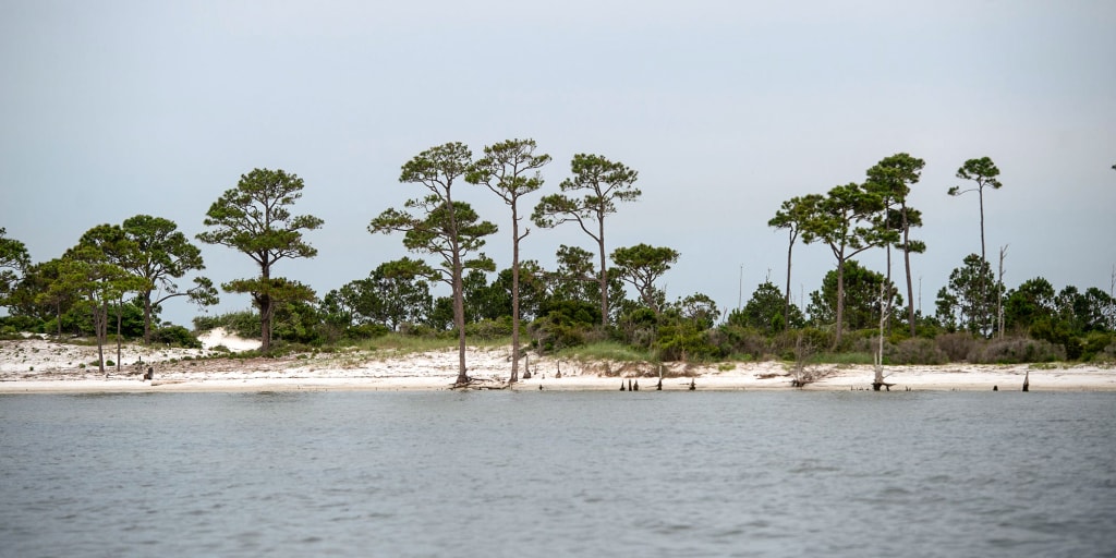 When locals think of Horn Island, they think of pristine beaches, summer boating trips and peaceful fishing. But now, the idyllic Mississippi island is overcast