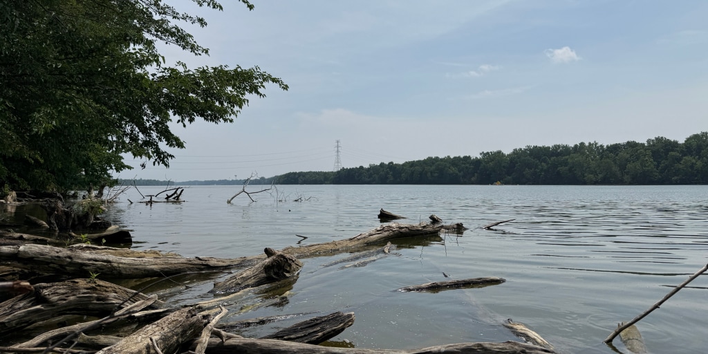 Five people have died on a river in Ohio after several of them went into the water to help another person who was struggling to swim, authorities say. <https://