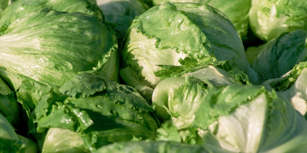 Outbreaks of foodborne illness keep stacking up: In just the last month, consumers have been warned about E. coli in blueberries, cyclospora in iceberg lettuce,