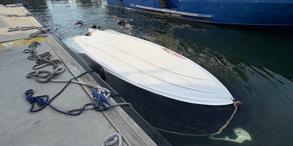 The federal government will look to deport a man accused of illegally operating a boat that capsized in New York Harbor this month, killing a woman and her infa
