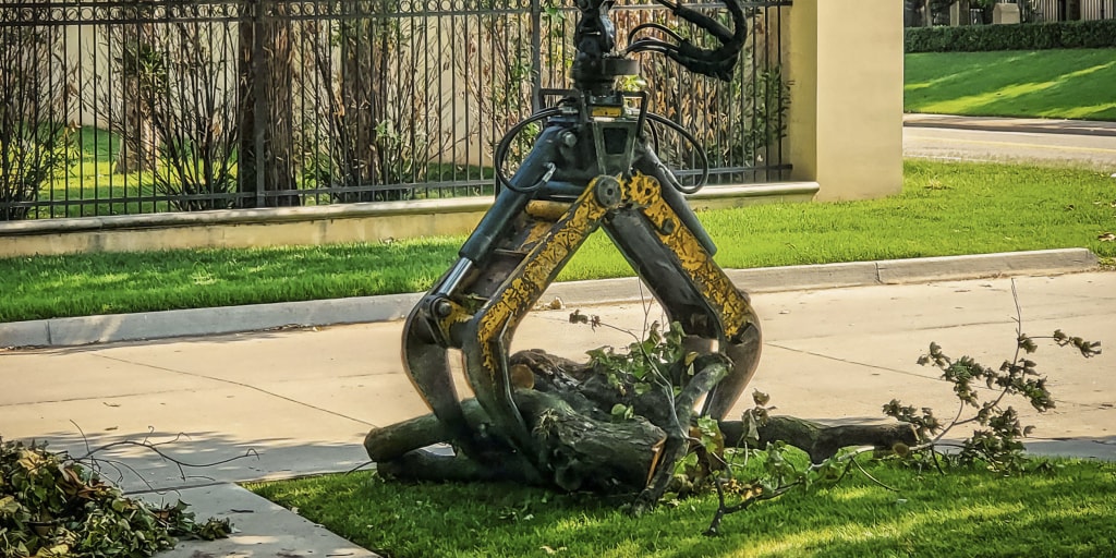 A Minnesota man is accused of crushing his co-worker’s head with a hydraulic grapple in a prank gone wrong during a tree-trimming job, killing the 26-year-old c