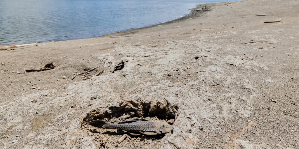 The U.S. government announces a drought disaster for more than two dozen cities and towns in Puerto Rico as water woes deepen across the U.S. Caribbean territor