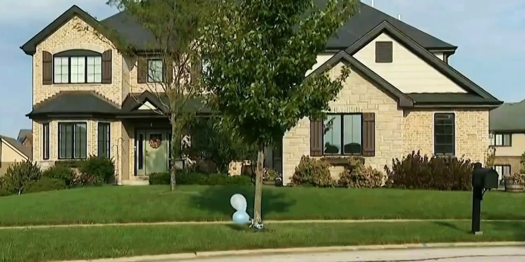 A suburban Illinois mother has been charged with murder after she allegedly killed her 2-year-old son then attempted to harm herself, according to police and court records.