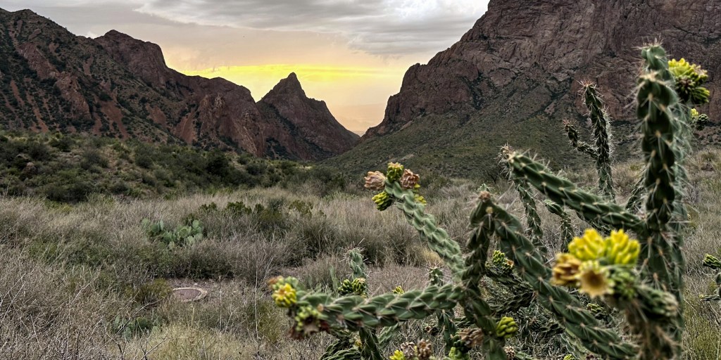Federal court temporarily blocks Trump administration’s border wall in Texas’ Big Bend region