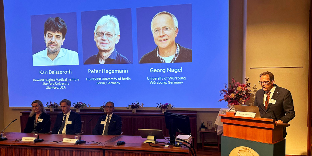 Three scientists win the 2026 Nobel Prize in Physiology or Medicine for discoveries that allow researchers to switch on and off nerve cells in the living brain.